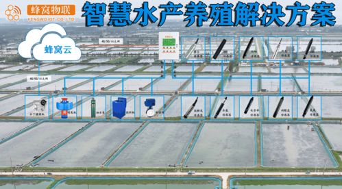 智慧水产养殖传感器全面盘点与计算机网络系统工程服务详解